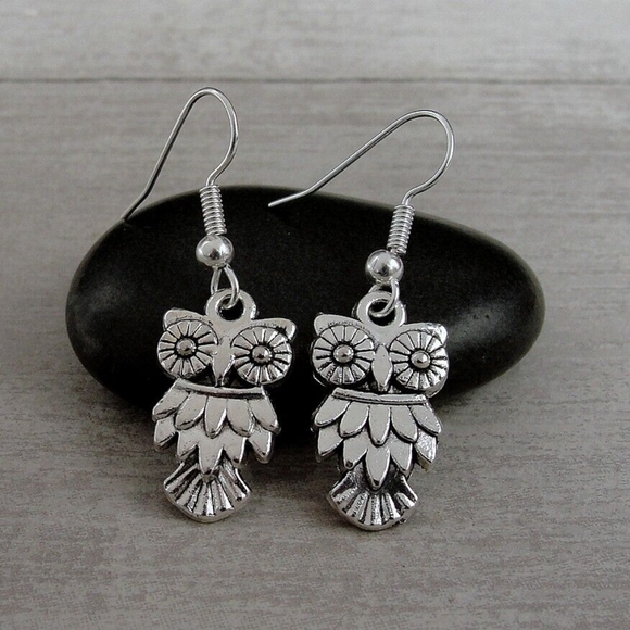 Whimsical Silver Owl Earrings - Picture 1 of 4